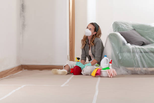 Reliable Mold Remediation contractor in Ontario, OR by 24 Hour Mold Removal